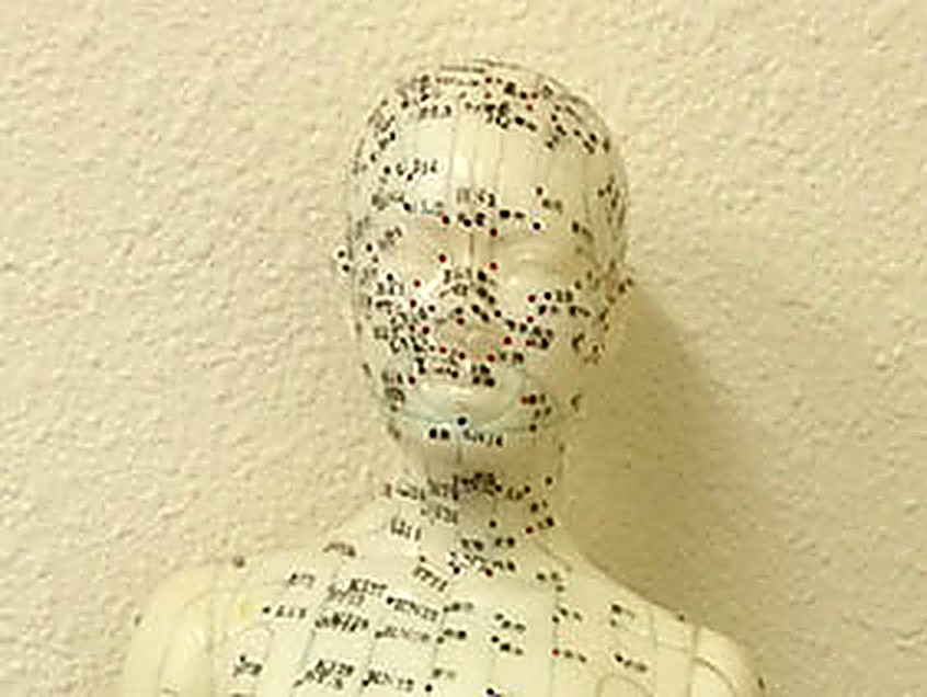 Acupuncture model showing meridian points